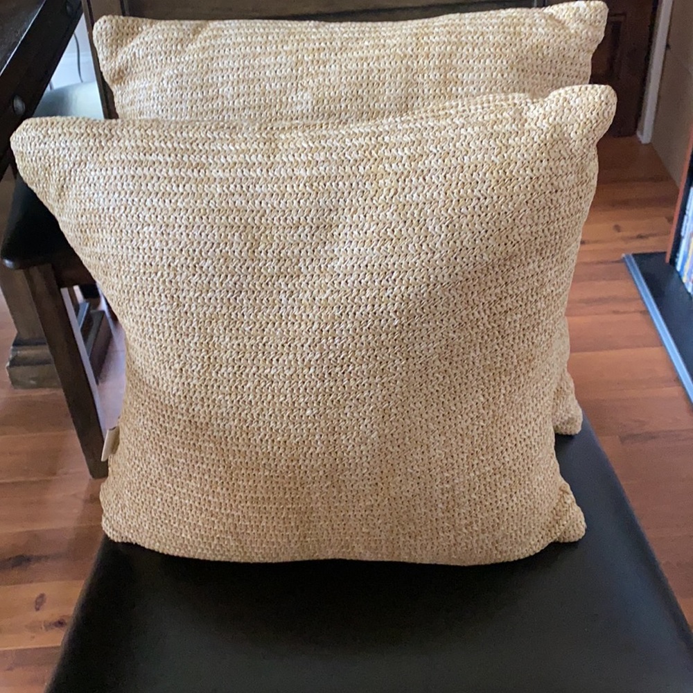 2 throw pillows - Picture 2 of 3